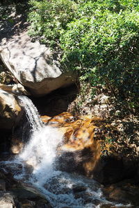 Scenic view of waterfall in forest