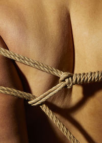 Close-up of rope tied to over white background