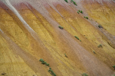 Full frame shot of agricultural field