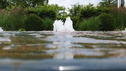 Water flowing by trees against sky