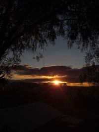 Silhouette trees against sky during sunset