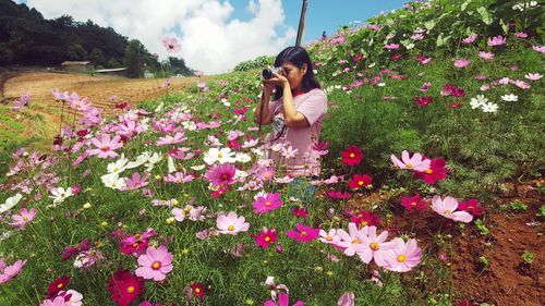 Woman standing by pink flowering plants on field