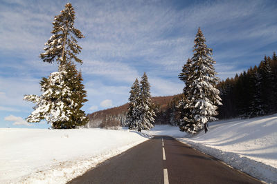 Road amidst trees against sky during winter