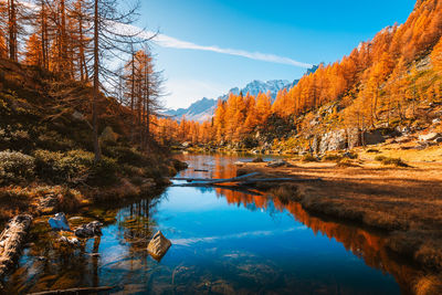 Scenic view of lake by trees against sky