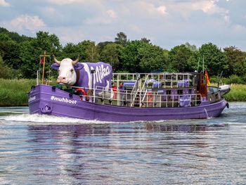 Horse cart in a boat