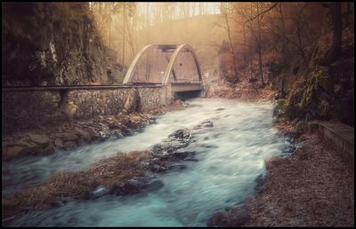 Stream flowing through rocks in forest