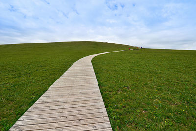 The endless, verdant kalajun prairie in xinjiang