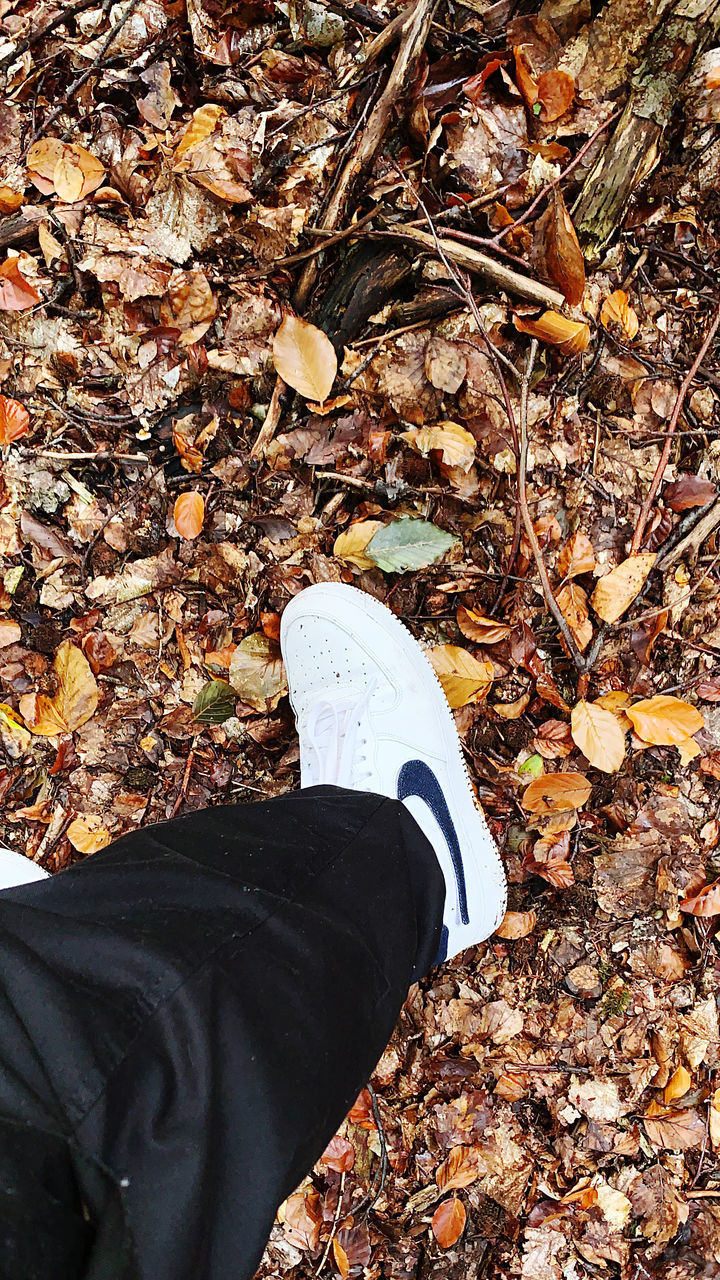 LOW SECTION OF PERSON STANDING BY DRY LEAVES ON FIELD