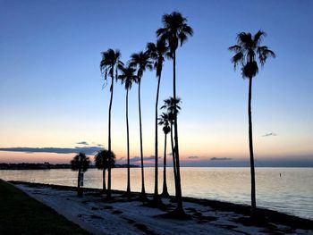 Silhouette palm trees on beach against clear sky at sunset