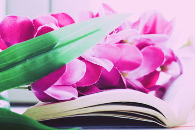 Close-up of pink flower on book