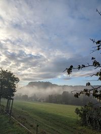 Scenic view of field against sky