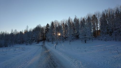 Snow covered trees against sky