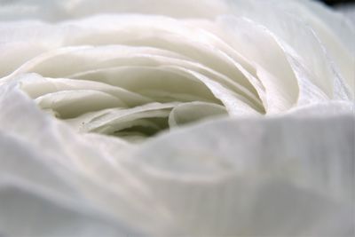 High angle view of ice cream in plate