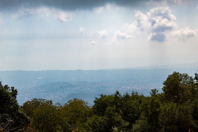 Scenic view of forest against sky