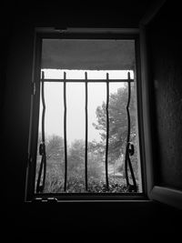 View of trees seen through window