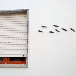 Low angle view of white window on wall of building