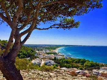 Trees by sea against clear blue sky