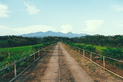 Dirt road amidst field against sky