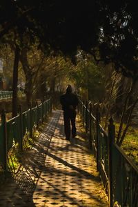Rear view of man walking on footpath