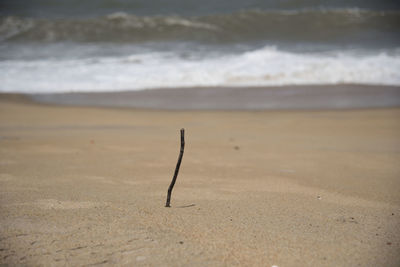 Close-up of sand at beach against sky