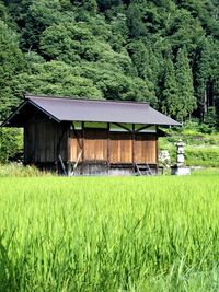 House on field against trees