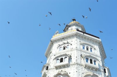 Low angle view of birds flying against blue sky