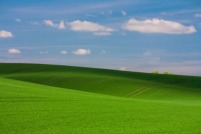 Scenic view of agricultural field against sky