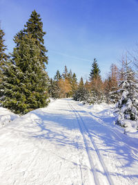 Snow covered field against sky