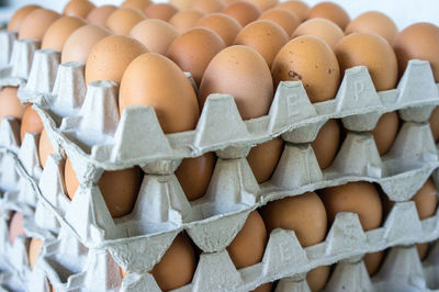 Close-up of eggs in carton