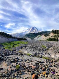 Scenic view of landscape against sky