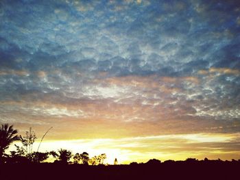 Low angle view of silhouette trees against dramatic sky