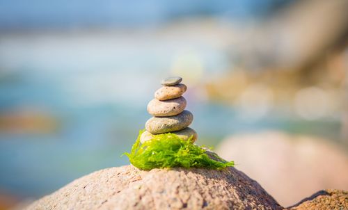 Close-up of pebbles on rock