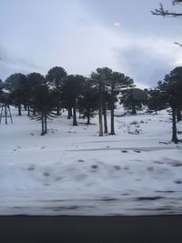 Scenic view of snow covered landscape