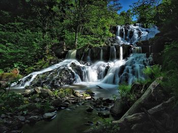 Scenic view of waterfall in forest