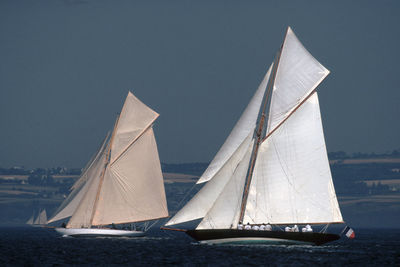 Sailboat sailing in sea against clear sky