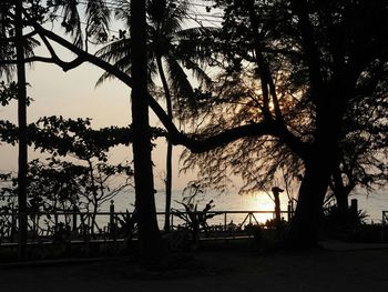 Silhouette trees against sky during sunset