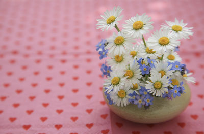 Close-up of daisy flowers on table