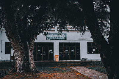 Trees and buildings in city