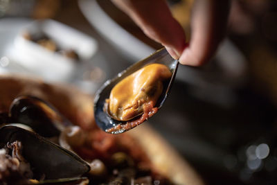 Cropped hand holding mussel