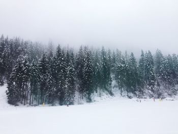 Trees on snow covered landscape against sky