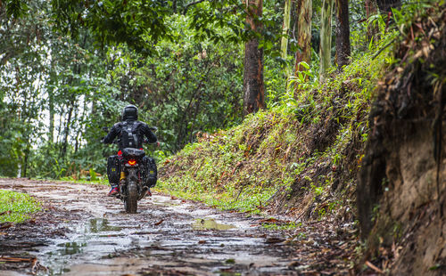 Man riding his scrambler type motorcycle through forrest