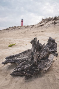 Driftwood on beach by sea against sky