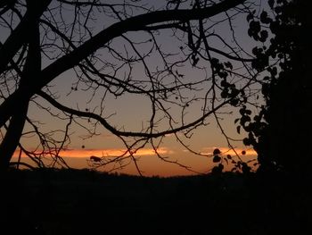 Low angle view of silhouette trees against sky at sunset