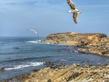 Seagull flying over sea against sky