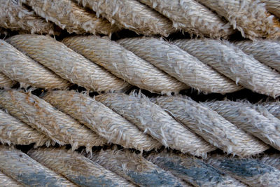 Close-up of ropes