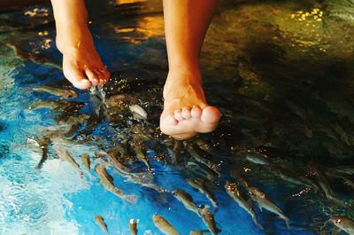 Low section of people with reddish log suckers in water