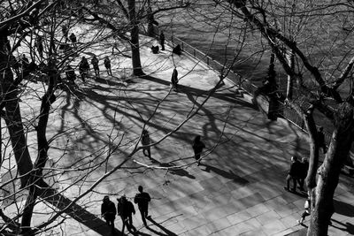 High angle view of people walking on footpath amidst bare trees