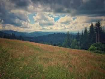 Scenic view of landscape against cloudy sky