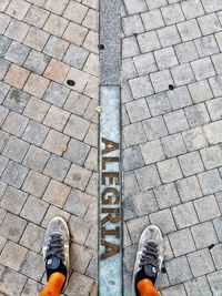 Low section of person standing on cobblestone street