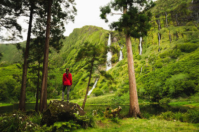 Rear view of woman standing on rock